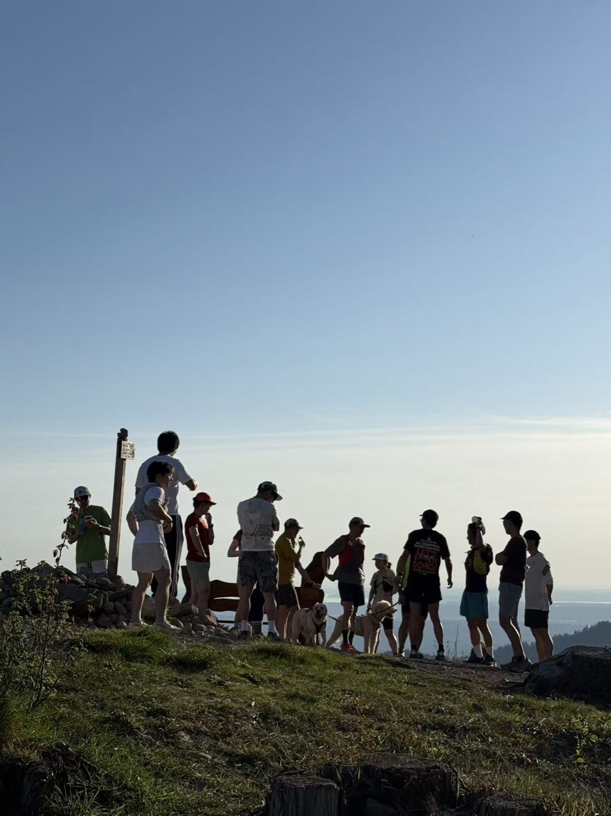 Trail runners and dogs gathering at a sunny mountain viewpoint
